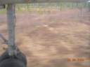 selkup042.jpg